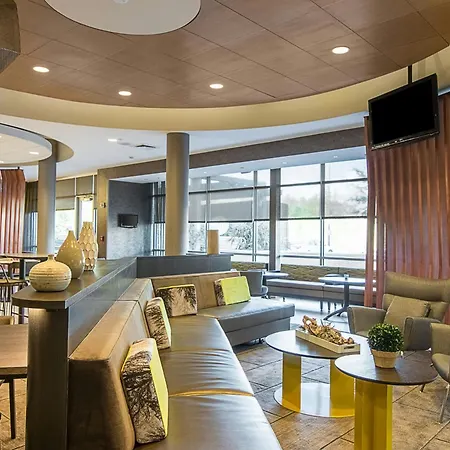 Springhill Suites Tampa North/Tampa Palms